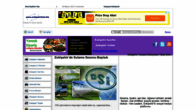 What Eskisehirliyiz.biz website looked like in 2023 (This year)