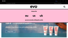 What Evohair.com website looked like in 2023 (This year)