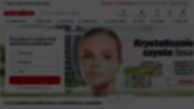 What Extradom.pl website looked like in 2023 (This year)