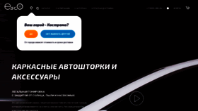 What Esco-pro.ru website looked like in 2023 (This year)