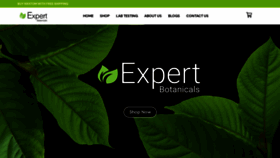 What Expertbotanical.com website looked like in 2023 (This year)