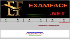What Examface.net website looked like in 2023 (This year)