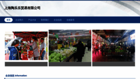 What Euotspi.cn website looked like in 2023 (This year)