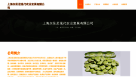 What Eergfni.cn website looked like in 2023 (This year)