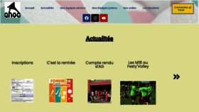 What Enoavolley.fr website looked like in 2023 (This year)