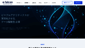 What E-falcon.co.jp website looked like in 2023 (This year)