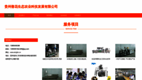 What Ekzjjtm.cn website looked like in 2023 (This year)