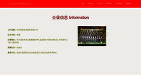 What Enosinn.cn website looked like in 2023 (This year)