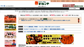 What E-kanekoya.com website looked like in 2023 (This year)