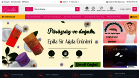 What Epilla.com.tr website looked like in 2023 (This year)