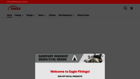 What Eaglefittings.com website looked like in 2023 (This year)