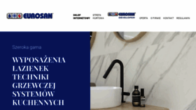 What Eurosan.pl website looked like in 2023 (This year)