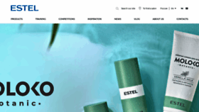 What Estel.pro website looked like in 2023 (This year)