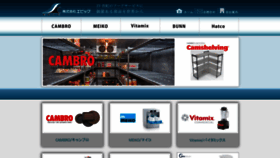 What Epic-co.com website looks like in 2024 
