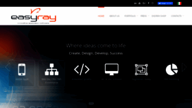 What Easyray-pro.com website looks like in 2024 