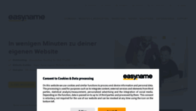 What Easyname.de website looks like in 2024 