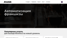 What Enzolab.ru website looks like in 2024 