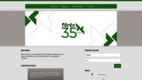 What E-fenix.com.br website looks like in 2024 