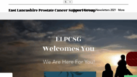 What Elpcsg.com website looks like in 2024 