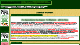 What Elephant.se website looks like in 2024 