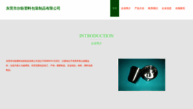 What Erpboy.com website looks like in 2024 