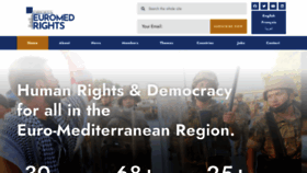 What Euromedrights.org website looks like in 2024 