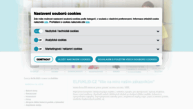 What Elfobchod.cz website looks like in 2024 