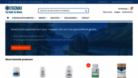 What Ergomax.nl website looks like in 2024 