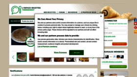 What Espace-recettes.fr website looks like in 2024 