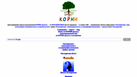 What Evolkov.net website looks like in 2024 
