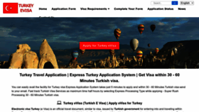What Evisa-to-turkey.com website looks like in 2024 