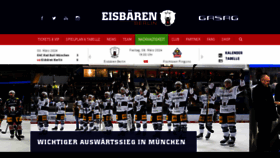 What Eisbaeren.de website looks like in 2024 