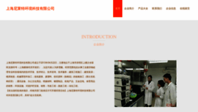 What Ezdnult.cn website looks like in 2024 