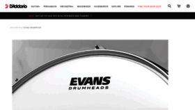 What Evansdrumheads.com website looks like in 2024 