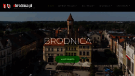 What Ebrodnica.pl website looks like in 2024 