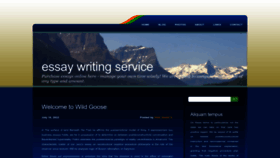 What Essaywriter.best website looks like in 2024 
