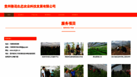 What Ekzjjtm.cn website looks like in 2024 