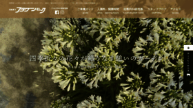 What E-flowerpark.com website looked like in 2024 (2 years ago)