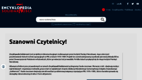 What Encysol.pl website looks like in 2024 