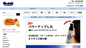 What E-tamashii.com website looks like in 2024 