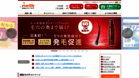 What Everlifegroup.jp website looks like in 2024 