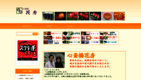What E-hanafusa.jp website looks like in 2024 