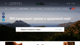 What Evermiracle.ru website looks like in 2024 