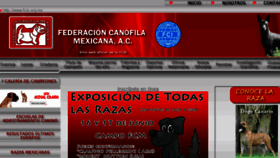 What Fcm.org.mx website looked like in 2012 (11 years ago)
