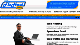What Fizhost.com website looked like in 2013 (11 years ago)