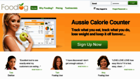 What Foodlog.com.au website looked like in 2013 (11 years ago)