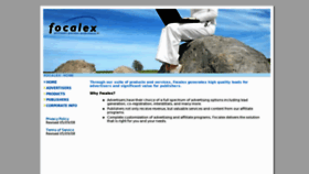 What Focalex.com website looked like in 2013 (11 years ago)