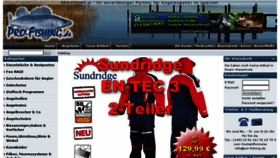 What Fisch-server.de website looked like in 2013 (10 years ago)