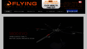 What Flyingcameras.ca website looked like in 2014 (10 years ago)