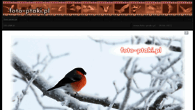 What Foto-ptaki.pl website looked like in 2014 (12 years ago)